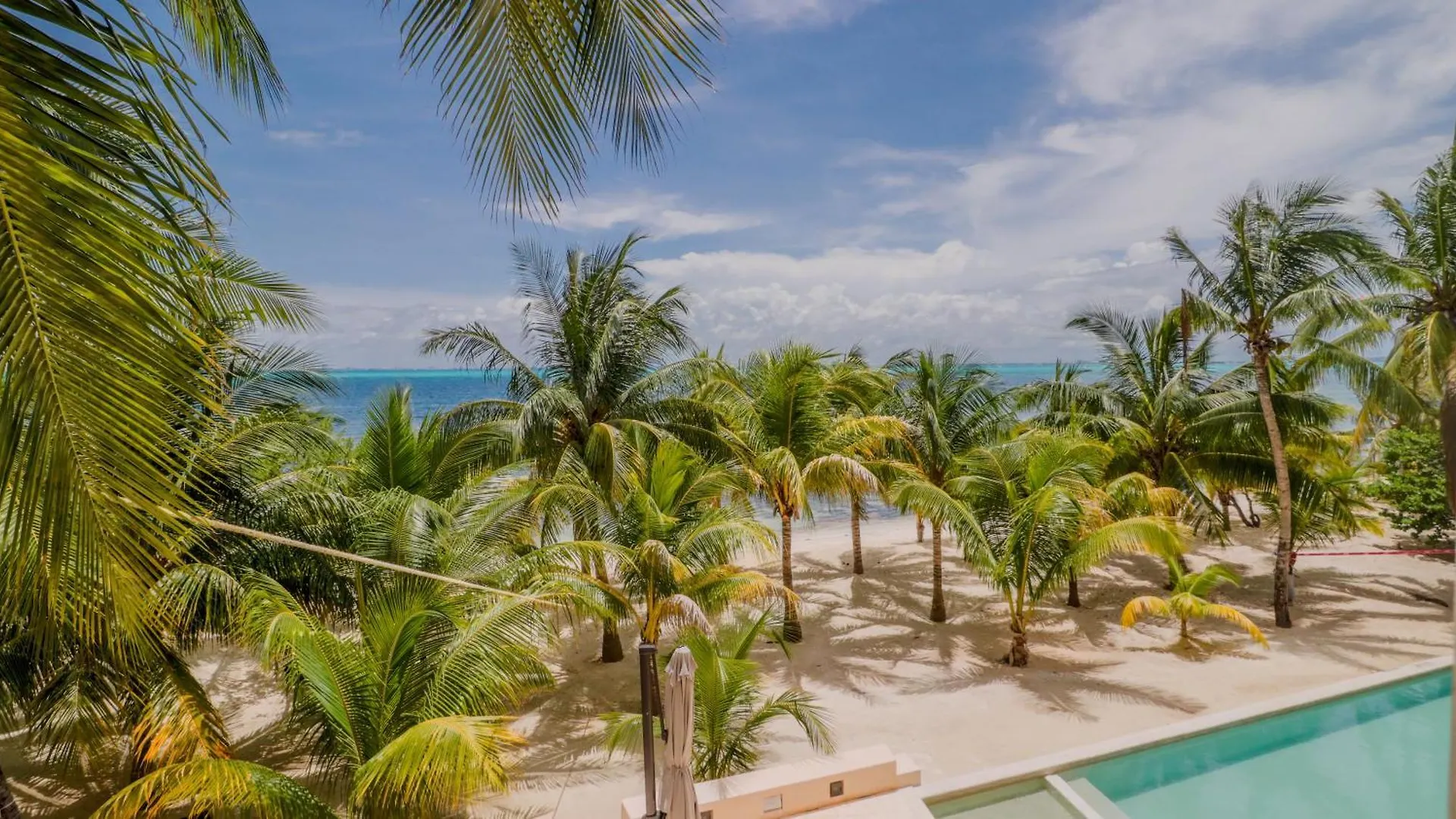 Artila Beach Condos, Isla Mujeres